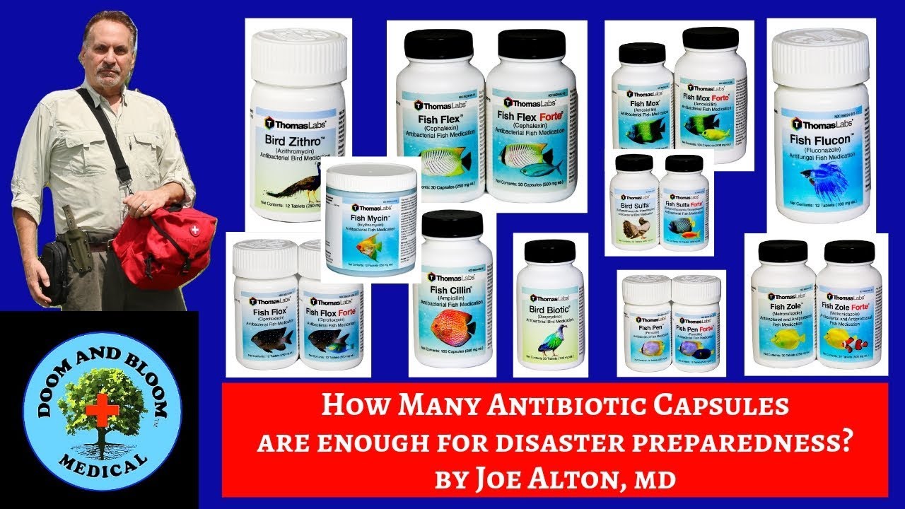 How Many Antibiotic Pills to Store for Survival Preparedness?