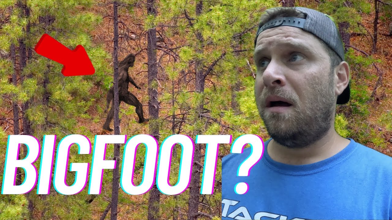Did BIGFOOT Visit My Campsite?