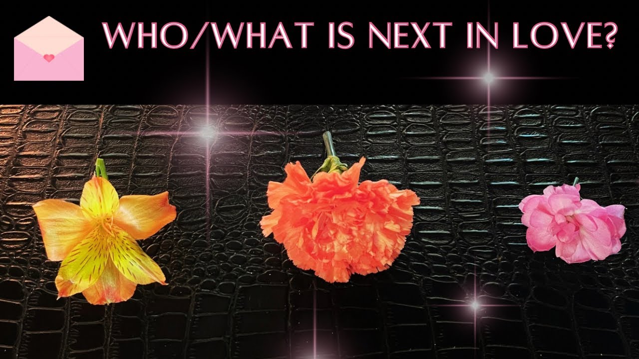 Pick A Card 🔮 Intuitive FLOWER 🌸 Reading • WHO & WHAT Is NEXT In LOVE? 💕 What Are You ATTRACTING? 🐝