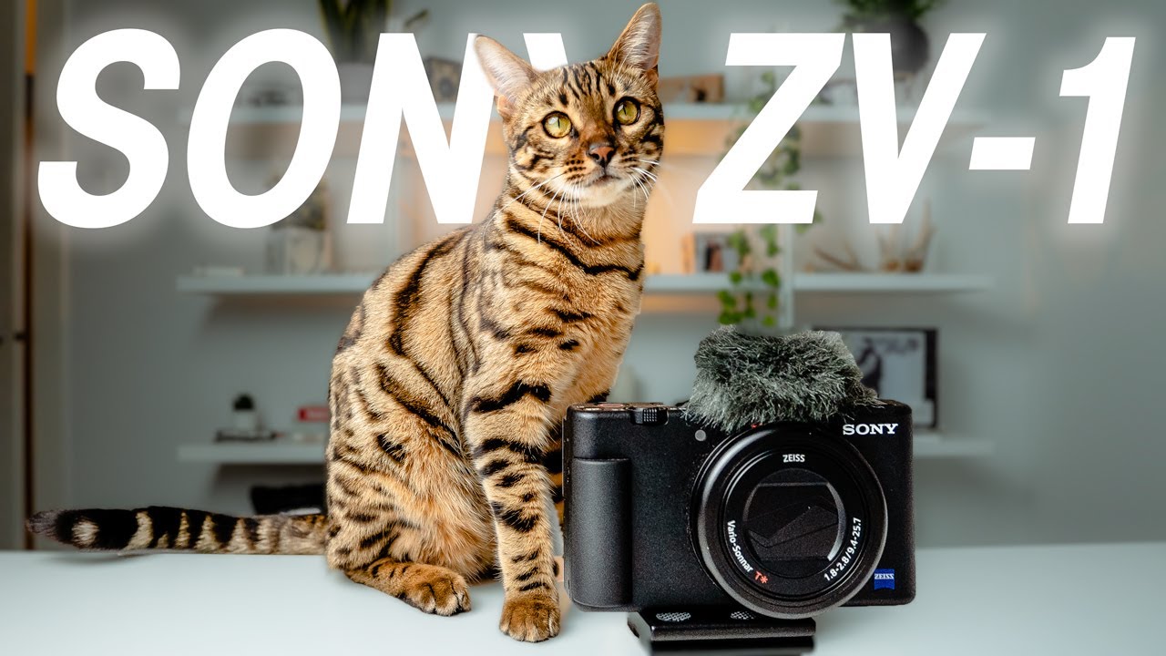 BEST Vlogging Camera 2020 || BUDGET Friendly || Sony Zv-1 One Month Later
