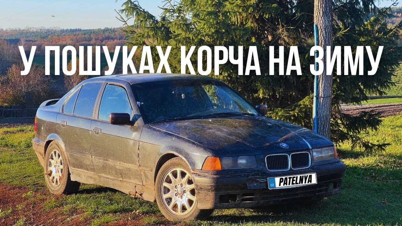 Пошуки корча на зиму за 2000$. Чи можливо купити щось ЖИВЕ ???