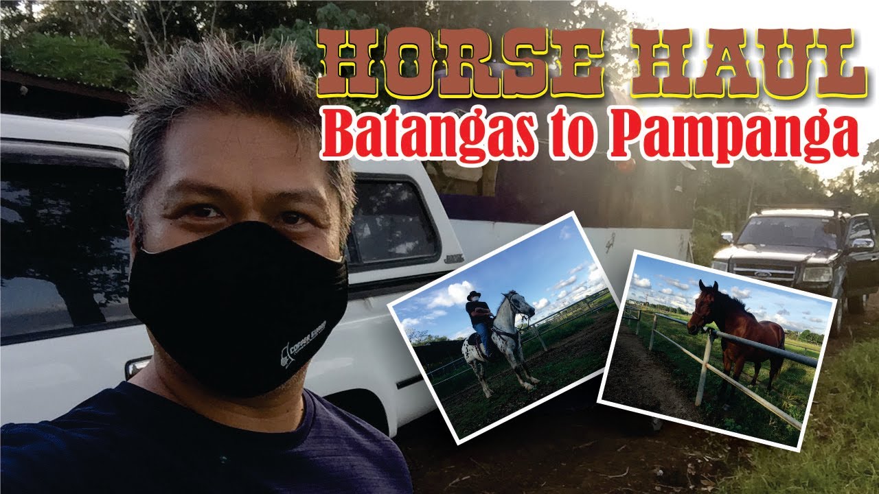 HORSE HAUL: BATANGAS TO PAMPANGA | Marc & Dine Urmatan