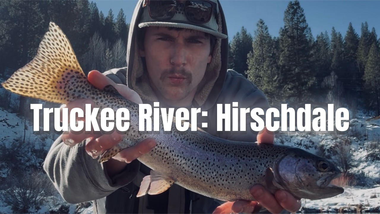 TRUCKEE RIVER: FLY FISHING HIRSCHDALE