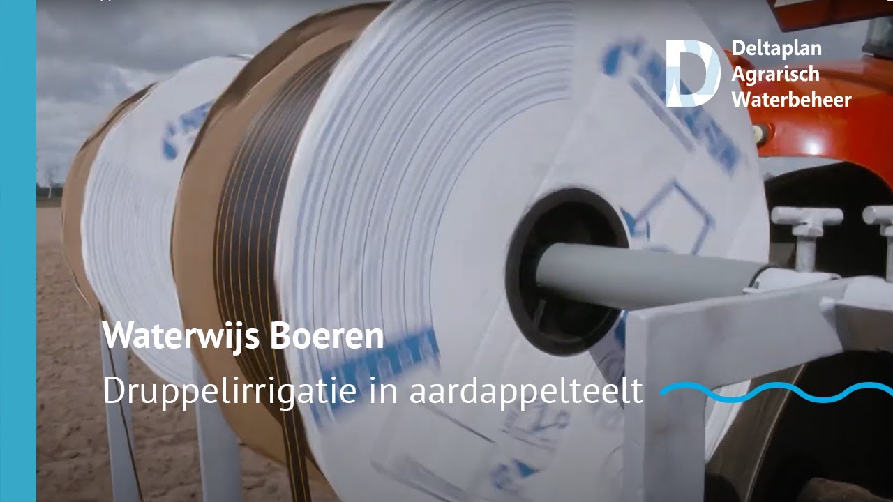 Aanleg druppelirrigatie in aardappelen