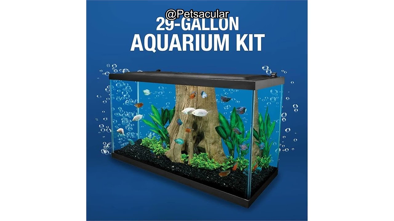 Tetra Complete LED Aquarium 29 Gallons Review: Is This All-in-One Kit Worth It for Beginners?