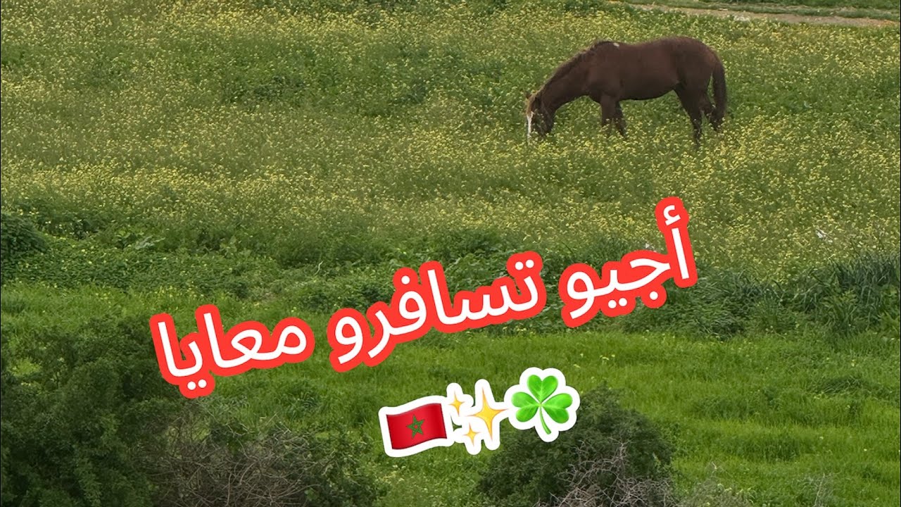 أجيو تسافرو معيا للبادية ☘️🌿🇲🇦
