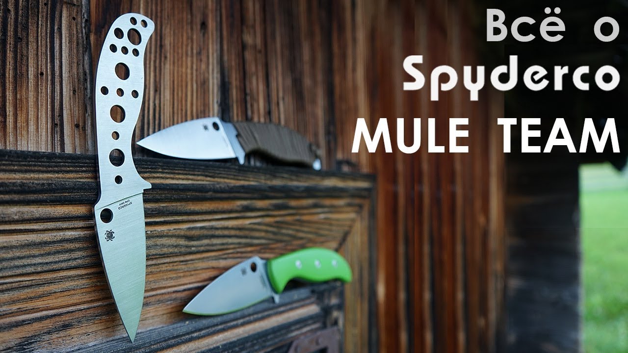 Spyderco Mule - идеальный ножевой бизнес-проект