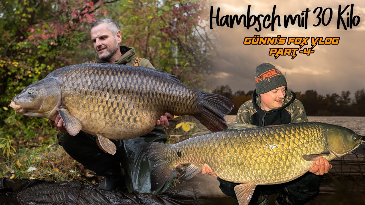 Hambsch mit 30 Kilo 🐋  | Günni's VLOG 4