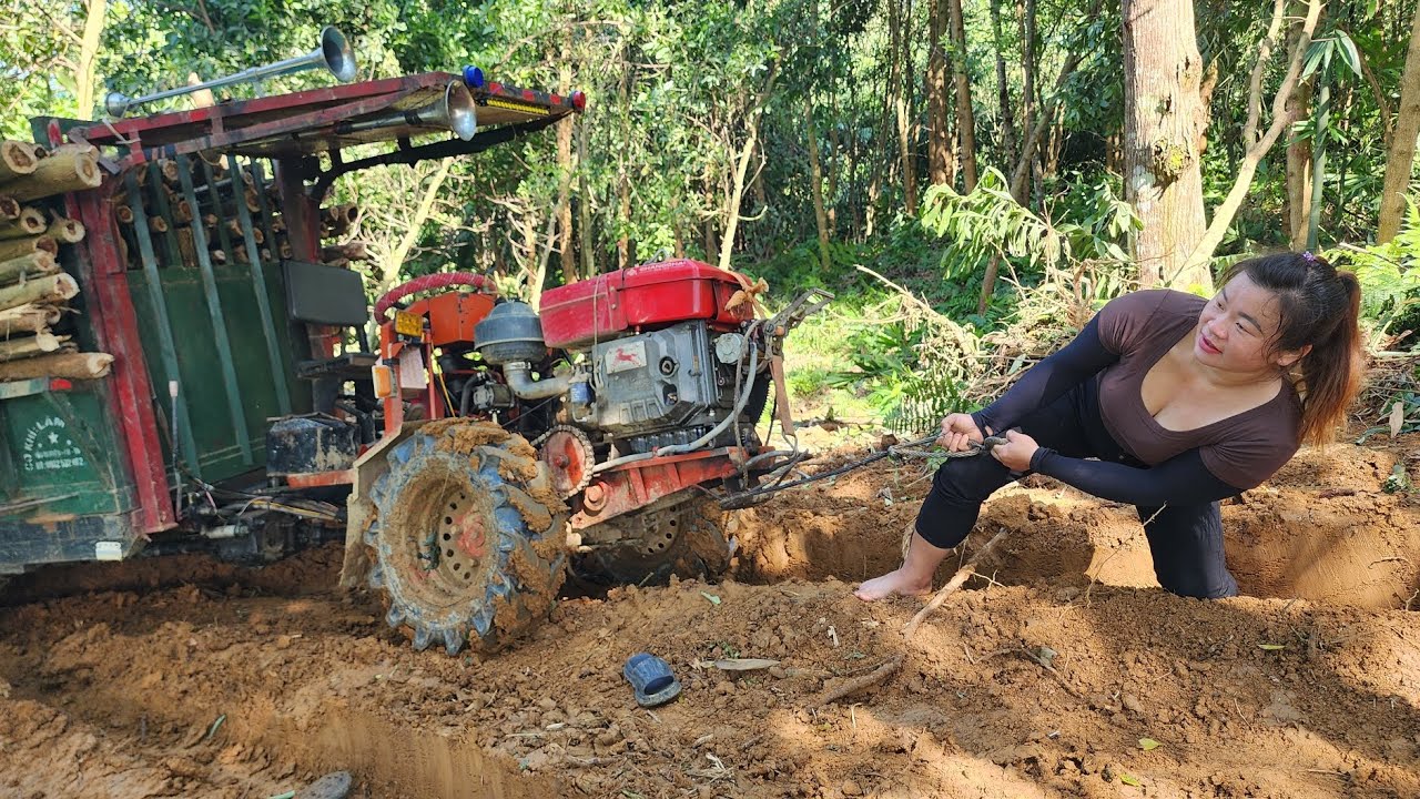 agricultural vehicles transporting timber.