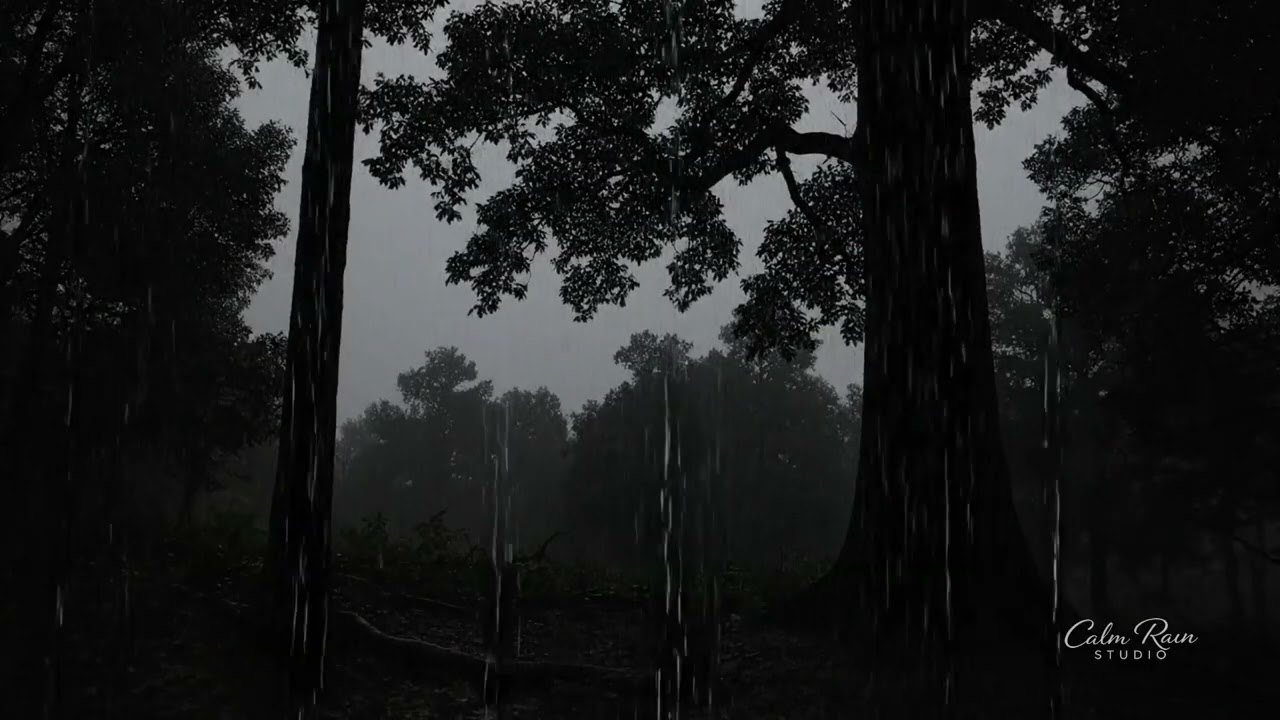 Midnight Rain: Deep Sleep