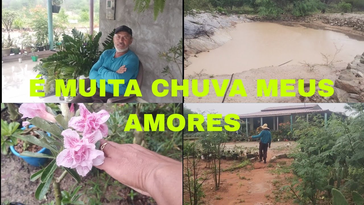 E POR AQUI ESTÁ ASSIM MUITA CHUVA + FALTA DE ENERGIA POR ISSO QUE EU SUMI