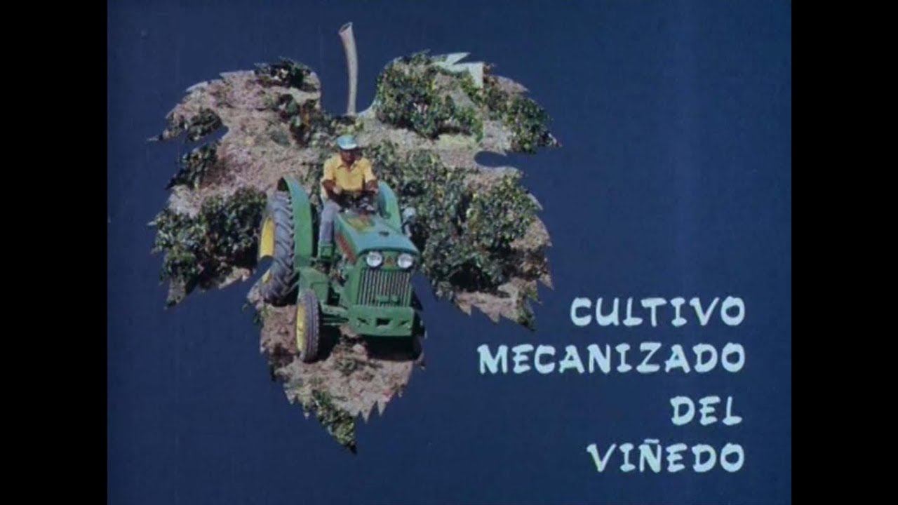 Cultivo mecanizado del viñedo. 1973