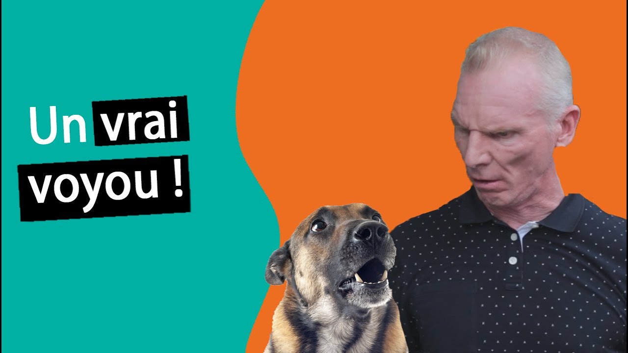 Mon chien a grogné après mon enfant ! Que faire ? | Dr. COZ