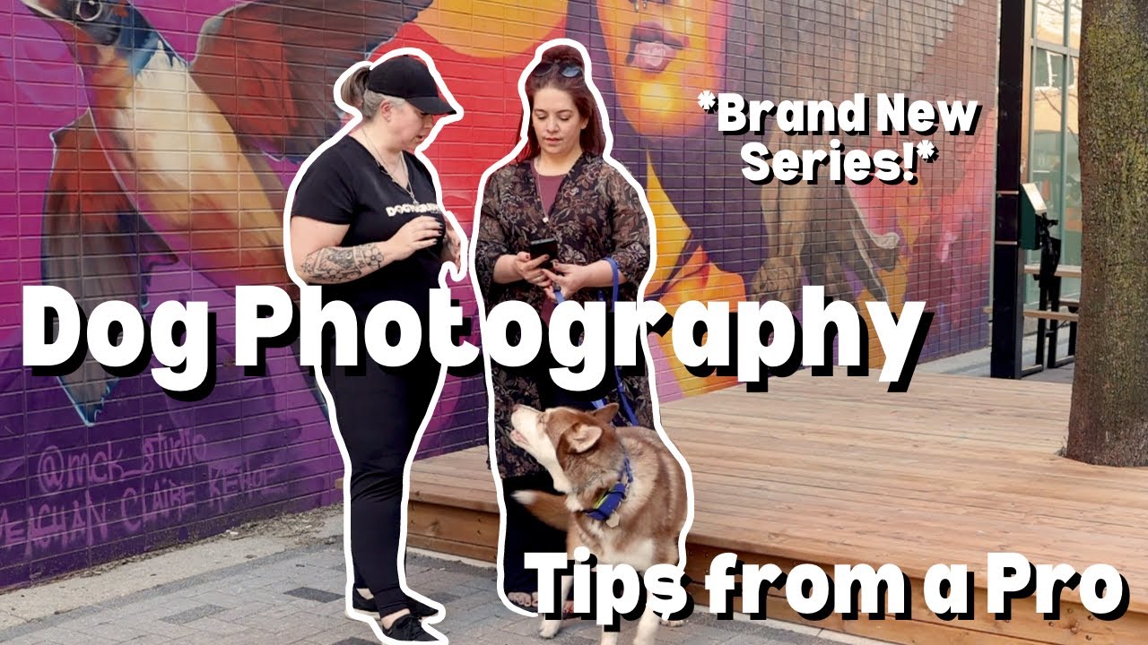 Dog Photography Tips From A Pro:  How-to shoot urban dog pictures!!  Viewer questions answered!