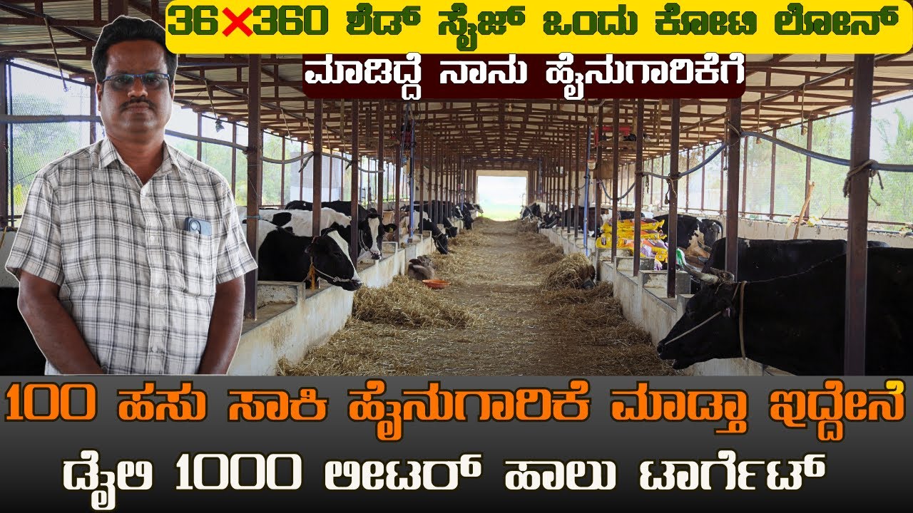 100 ಹಸು ಸಾಕಿ ಹೈನುಗಾರಿಕೆ ಮಾಡ್ತಾ ಇದ್ದೇನೆ ಡೈಲಿ 1000 ಲೀಟರ್ ಹಾಲು ಟಾರ್ಗೆಟ್|1 ಕೋಟಿ ಲೋನ್ ಮಾಡಿದ್ದೆ|dairy farm