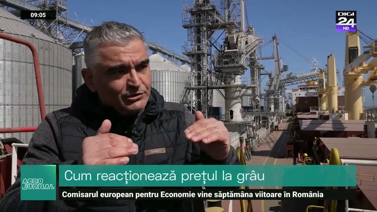 Floarea soarelui, din România în Portugalia. Aflați cum variază prețul acesteia. #Digi24 #AgroJurnal