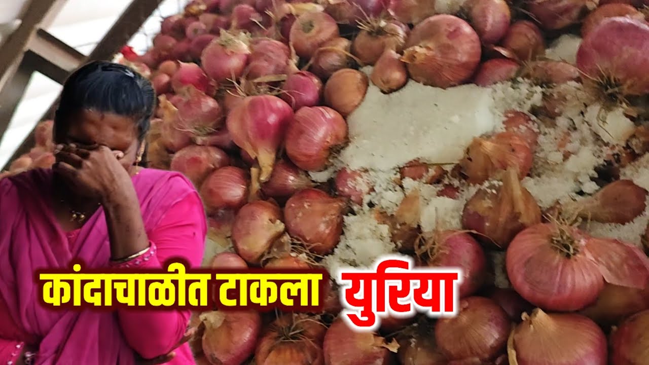 गरीब महिलेने कष्टाने पिकवून साठवलेल्या कांदाचाळीत समाजकंटकाने टाकला युरिया.