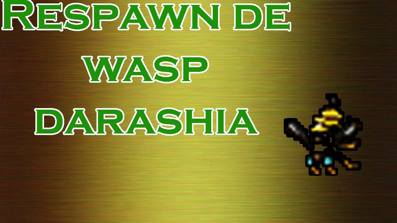 WASP - Darashia