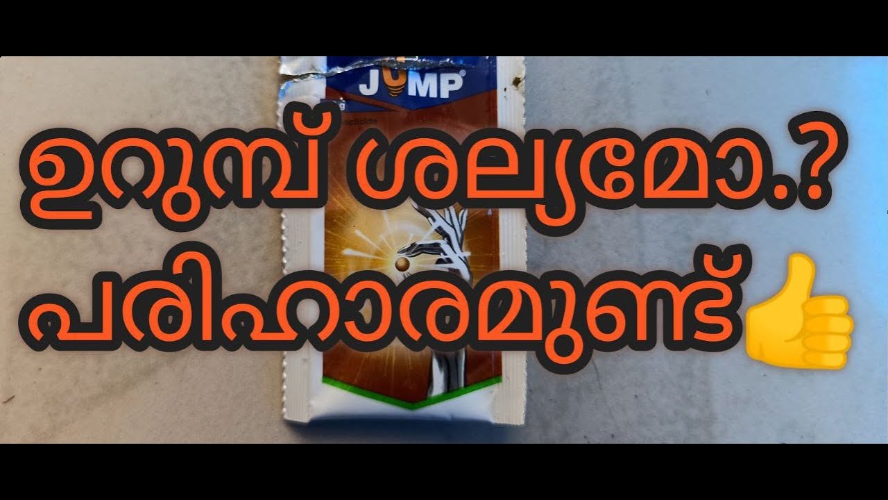 Bayer Jump, Fipronil Insecticide ഉറുമ്പ്  ശല്യമാകുന്നുണ്ടോ.? പരിഹാരം  ഉണ്ട് ant killer ant repellent