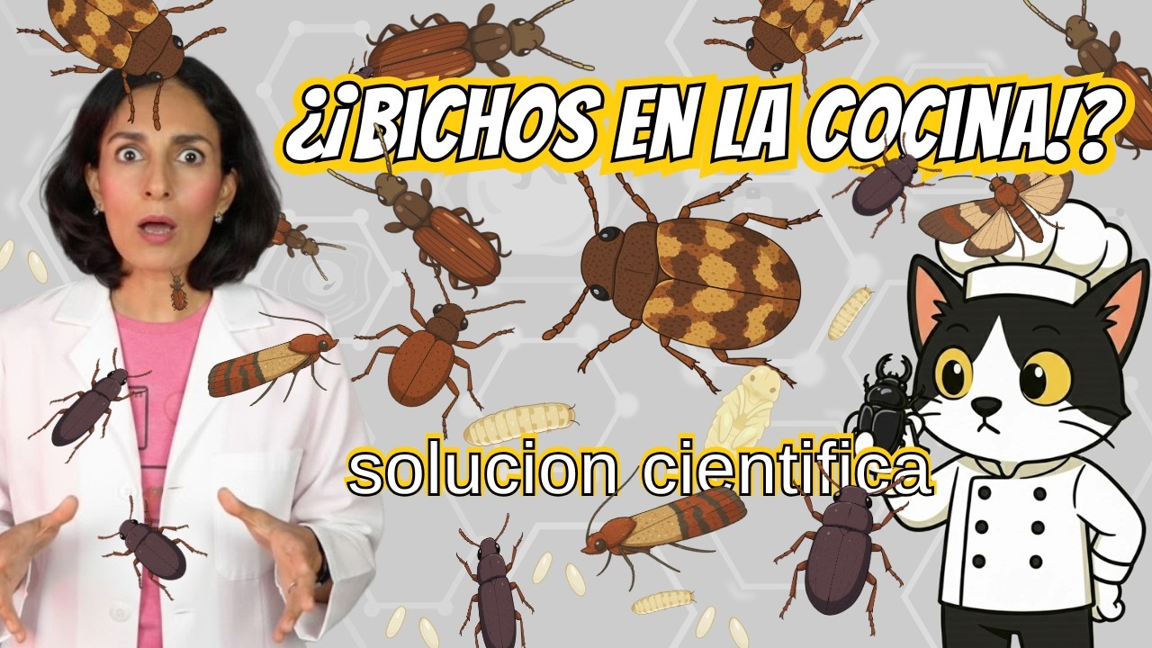 Encontré escarabajos 🪳 en mi harina | La verdad científica detrás de este problema casero