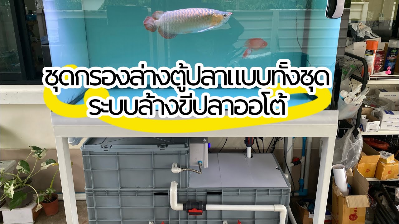 กรองล่างขั้นเทพระบบล้างขี้ปลาอัตโนมัติ Overflow แบบออโต้เต็มระบบหลักพัน