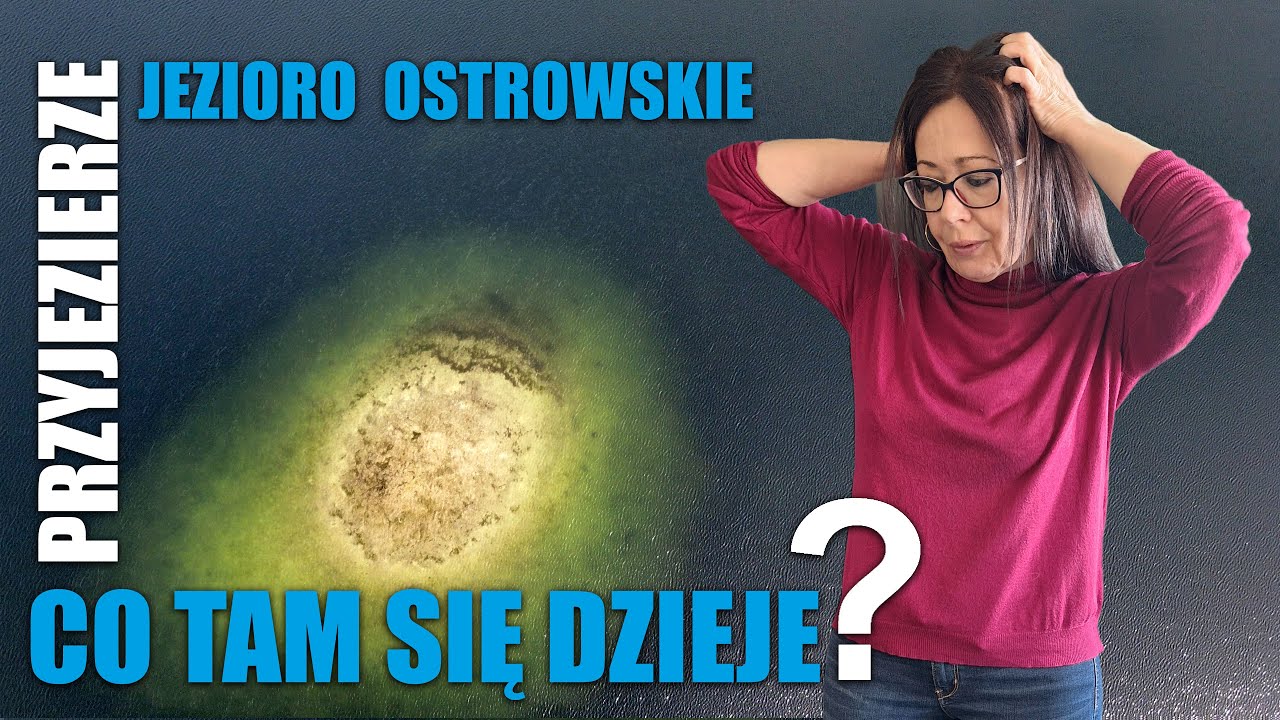 PRZYJEZIERZE 🇵🇱  CO TAM SIĘ DZIEJE?