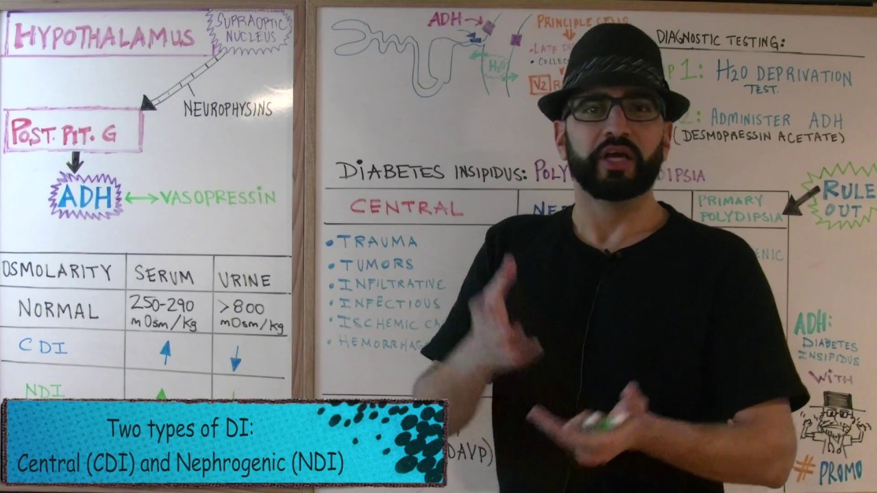 ADH and Diabetes Insipidus - Endocrine #3 // Med School Mondays with #PROMO