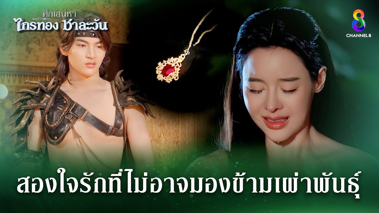 สองใจรักที่ไม่อาจมองข้ามเผ่าพันธุ์ | HIGHLIGHT ศึกเสน่หา ไกรทอง ชาละวัน EP.23 | ละครช่อง8