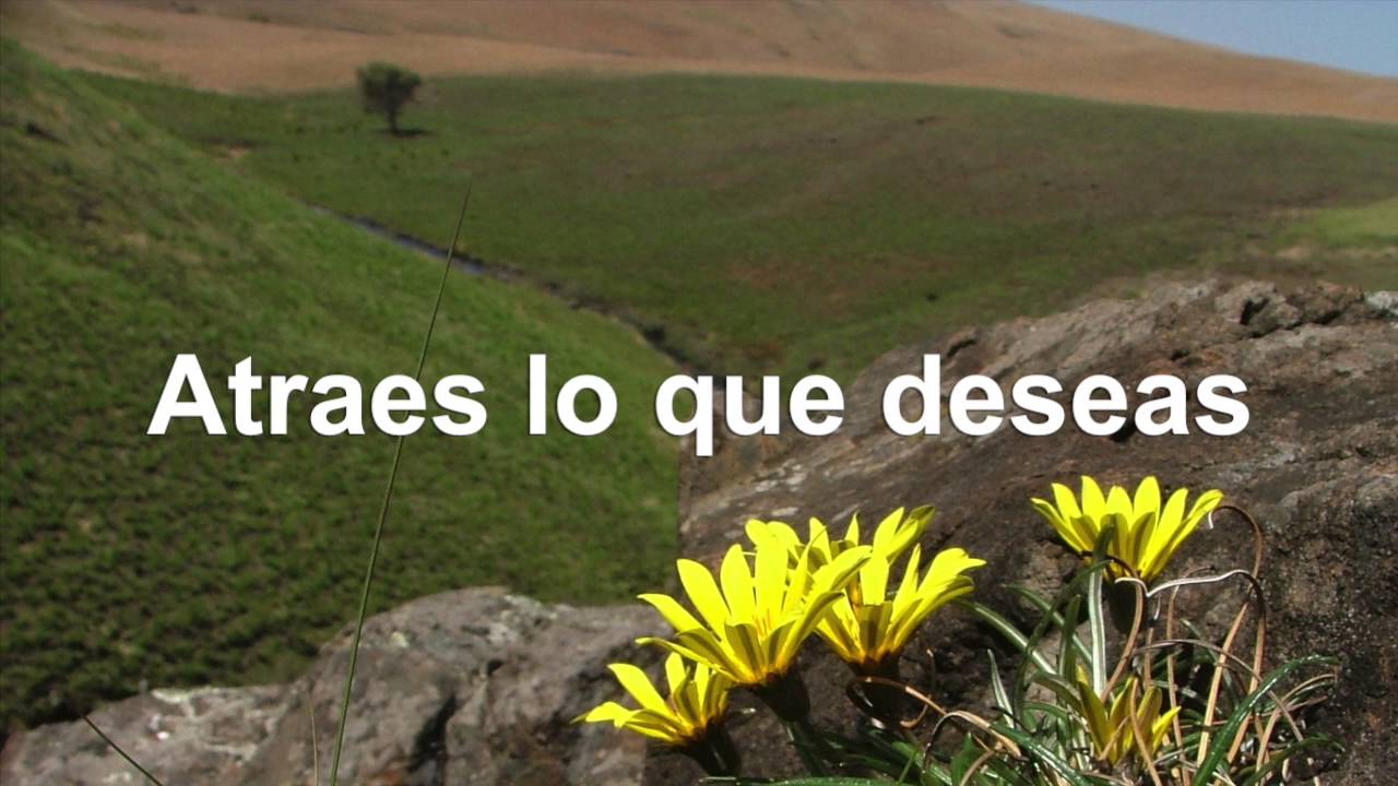 EL DESEO ES EL MOTOR - Cuento para reflexionar sobre tus logros