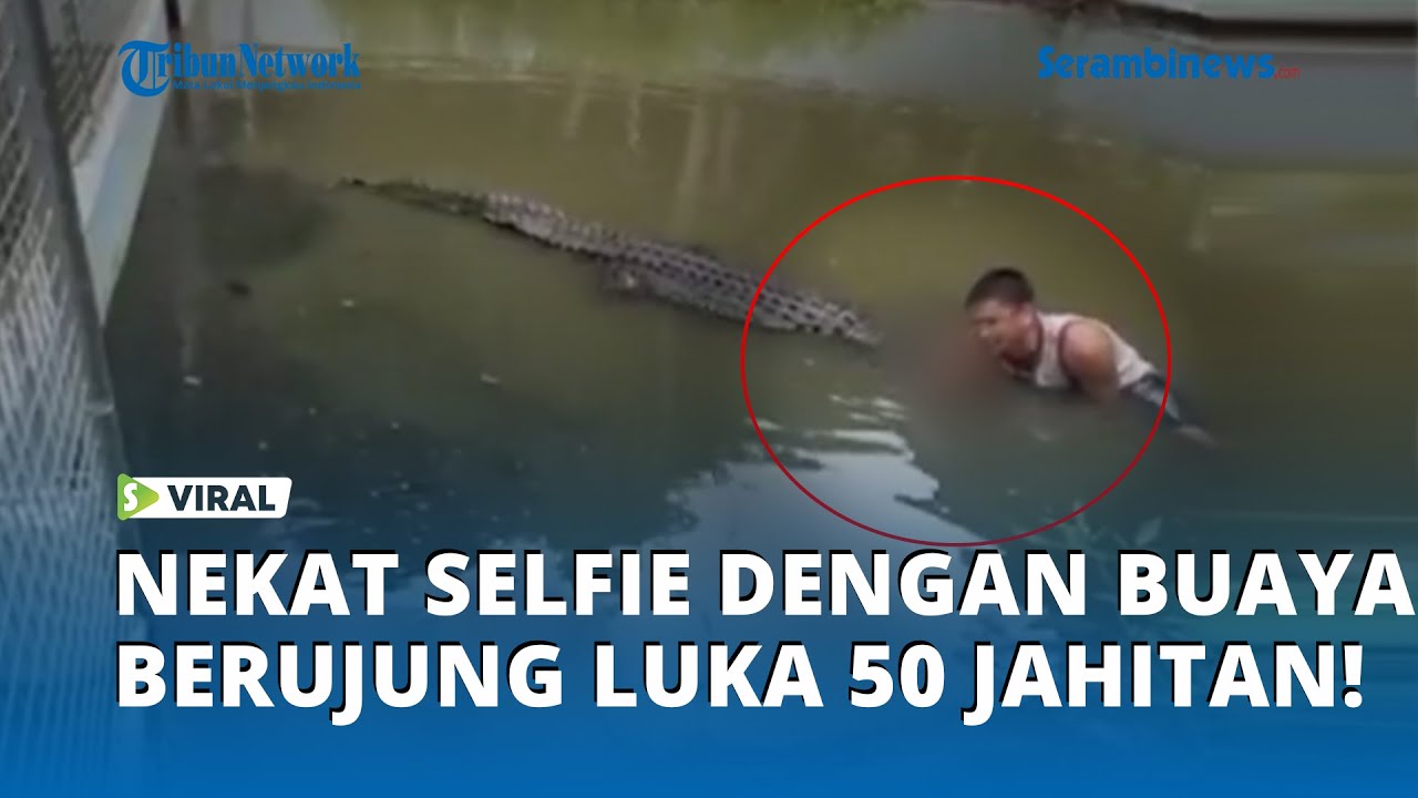 Miris! Demi Konten, Pria Filipina Nyaris Kehilangan Nyawa di Kandang Buaya