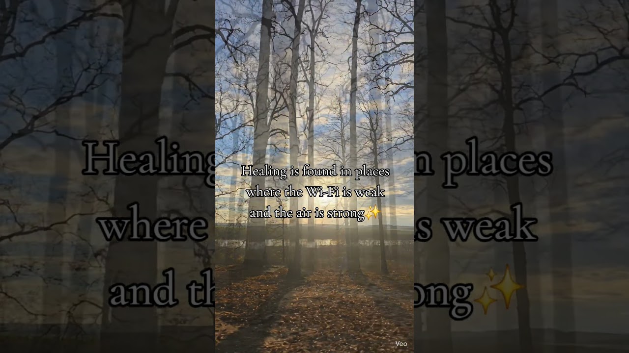 🪾🥾🌲🍁🐿️