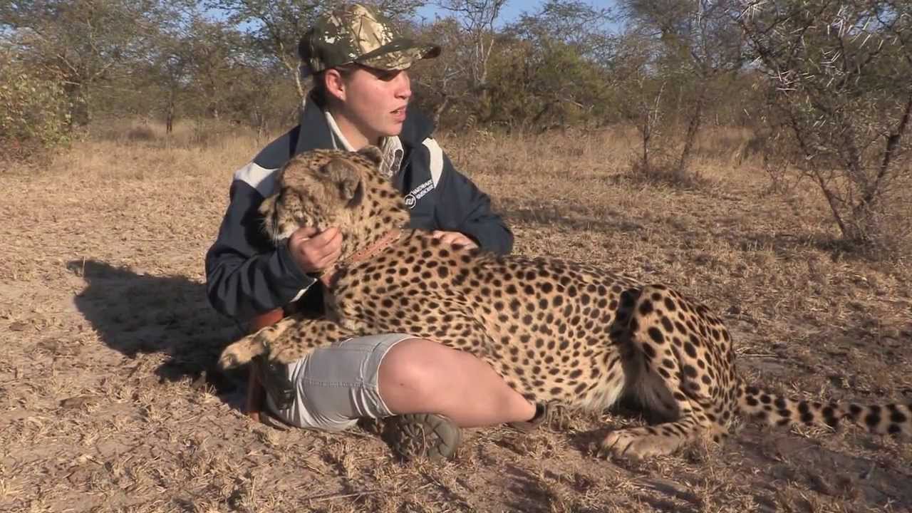 Tshukudu Game Reserve, Marula Camp - South Africa Travel Channel