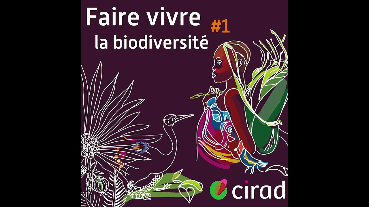 For&ecirc;ts tropicales, for&ecirc;ts durables #1 | Faire vivre la biodiversit&eacute;