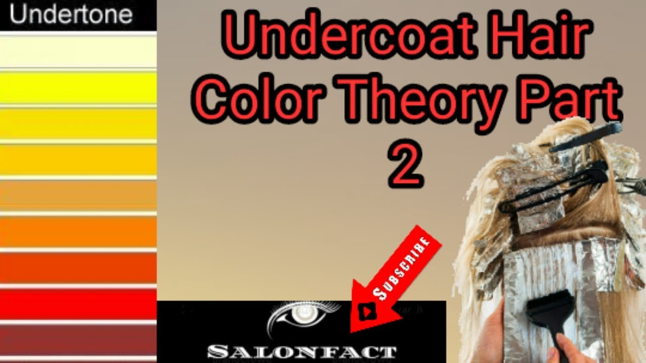 Hair Undercoat Full Theory (underlyingpigment) क्या है अन्डर्कोट  Salonfact
