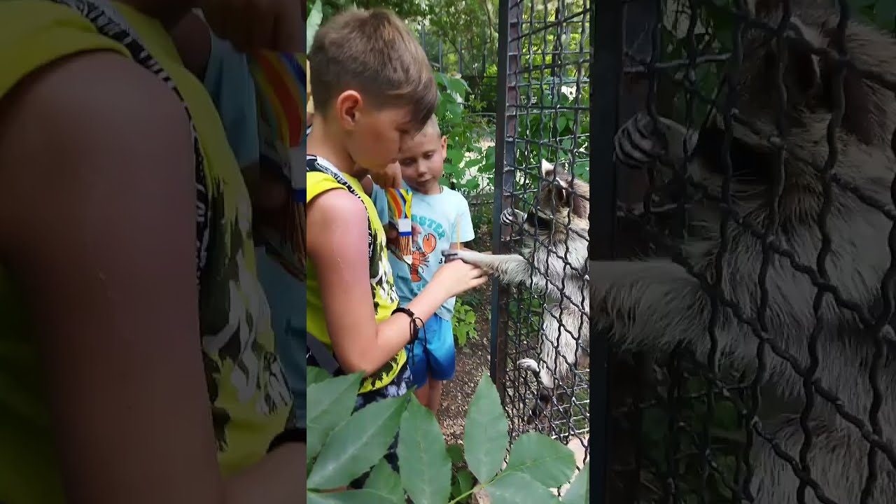 Угощать  - сплошное удовольствие! Тайган