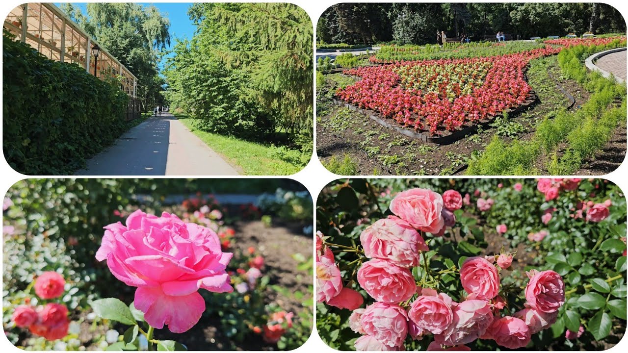 4k walking tour in the arboretum. Yekaterinburg, Russia.