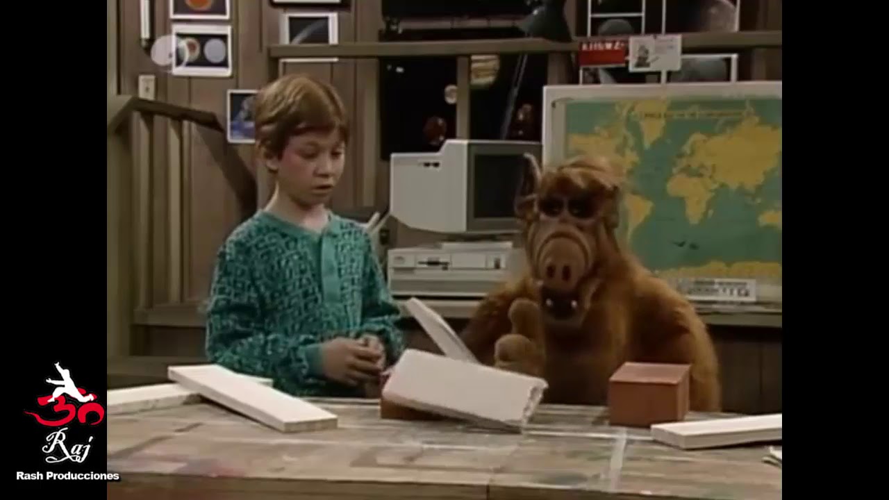 Alf ense&ntilde;a a Bryan a pelear