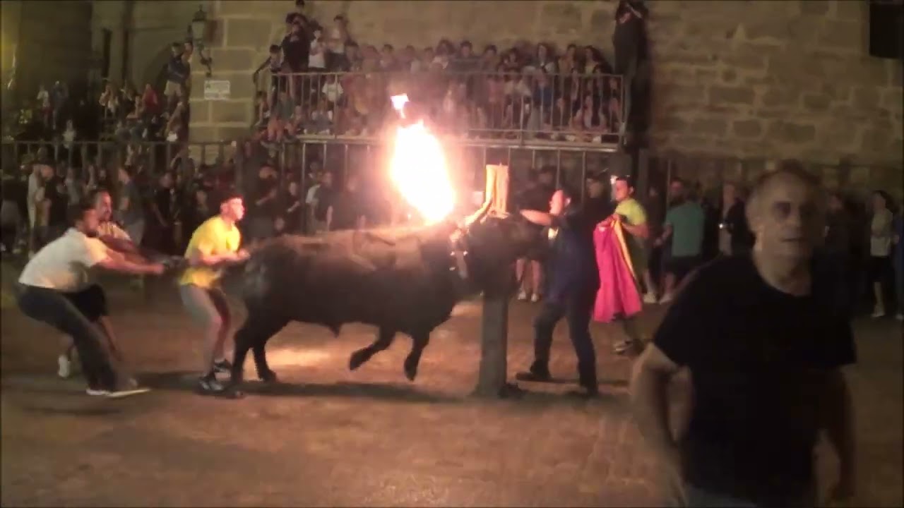 EL CARMEN EN RUBIELOS DE MORA (TERUEL) 2024  - TORO DE SOGA Y TORO EMBOLADO -