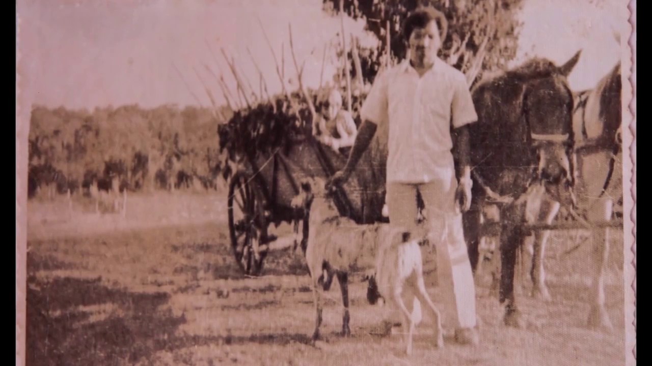 Vida no Sul: Mat&eacute;ria sobre vida e mart&iacute;rio do Padre Josimo