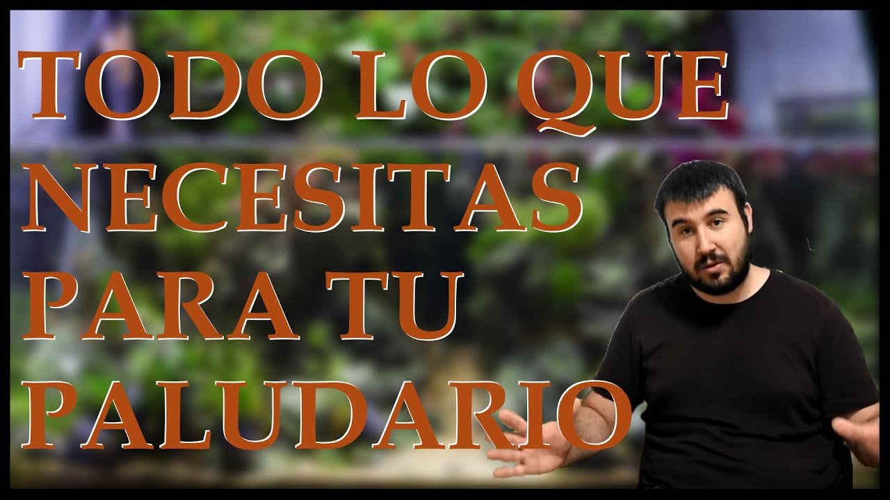 🐠⚒️ COMO HACER UN ACUARIO PALUDARIO CON PECES PASO A PASO DESDE CERO. ⚒️ 🐠