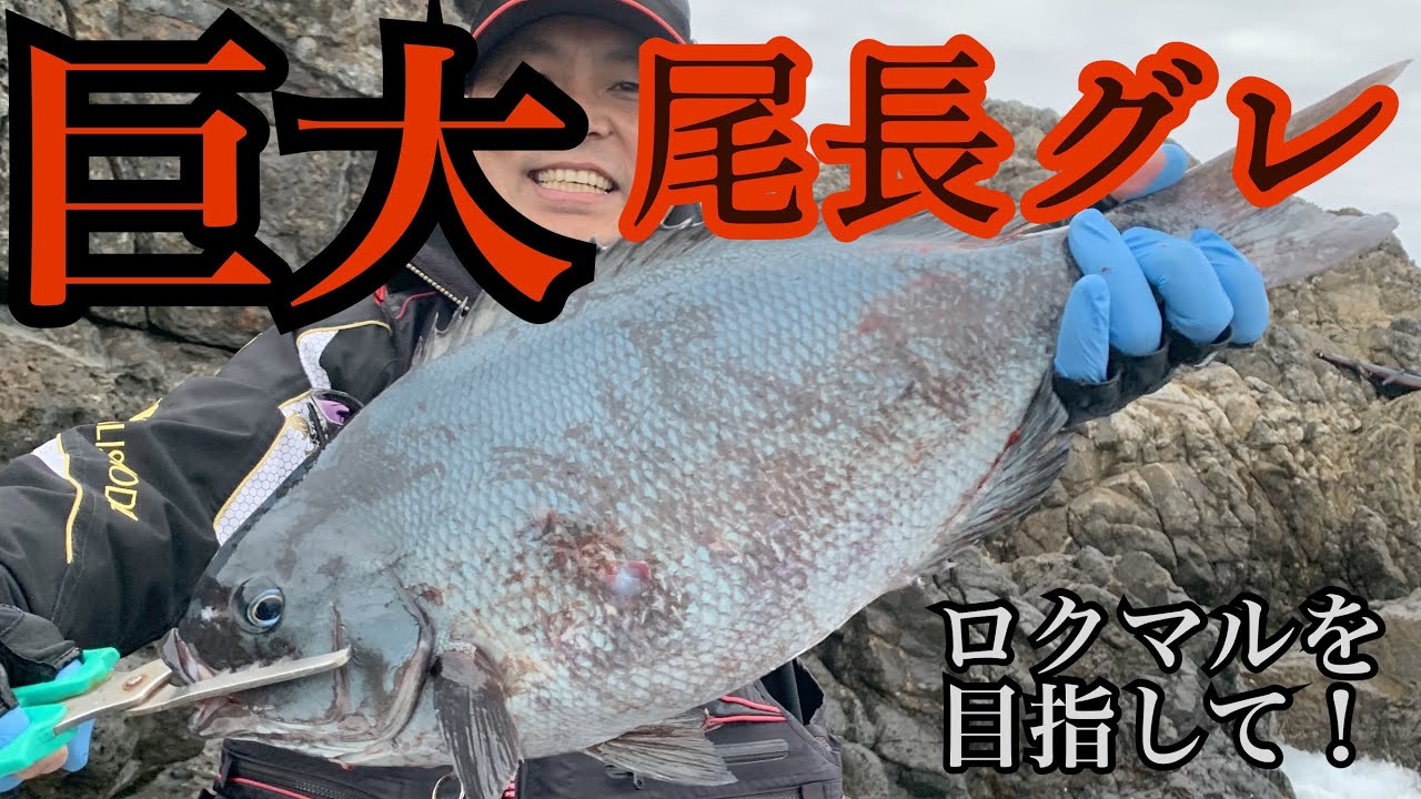でた！！新記録！！尾長チャレンジ！！