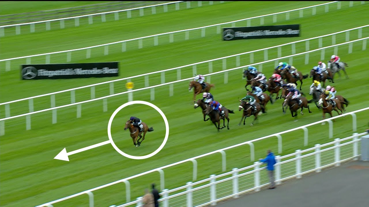 🤯 Wow! ONE LOOK hits the jackpot on debut in Goffs Million