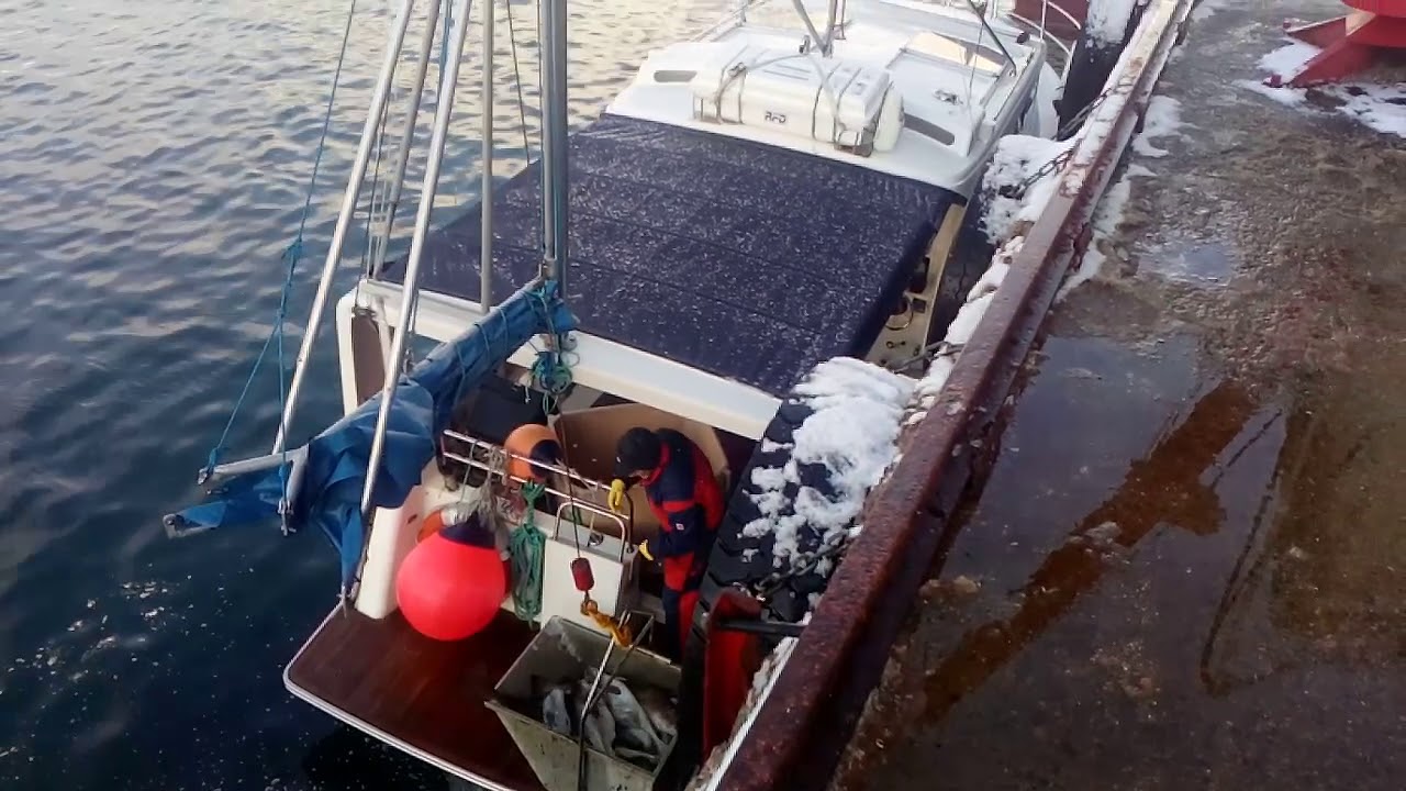 Praca w norweskiej przetwórni dorsza cz 3