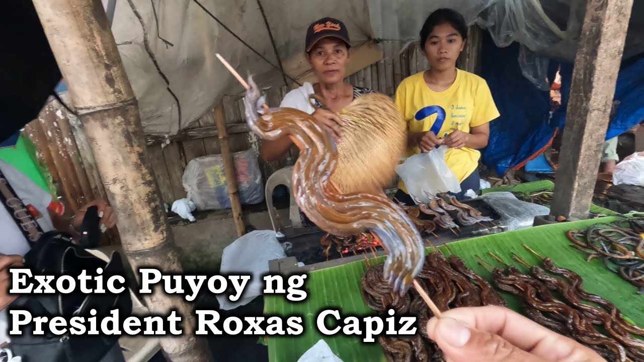 Bacolod to President Roxas Capiz