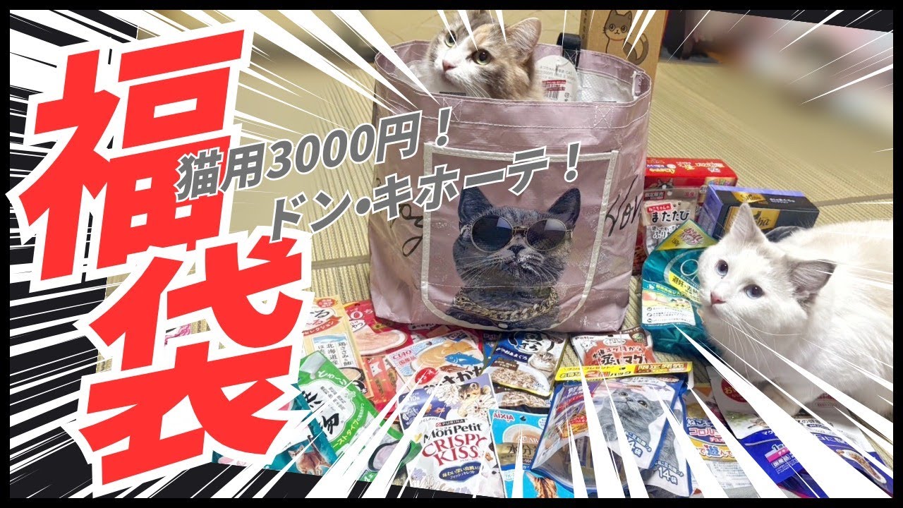 ドンキの猫用福袋3000円分を開封！中身は当たり？２匹に試してみた