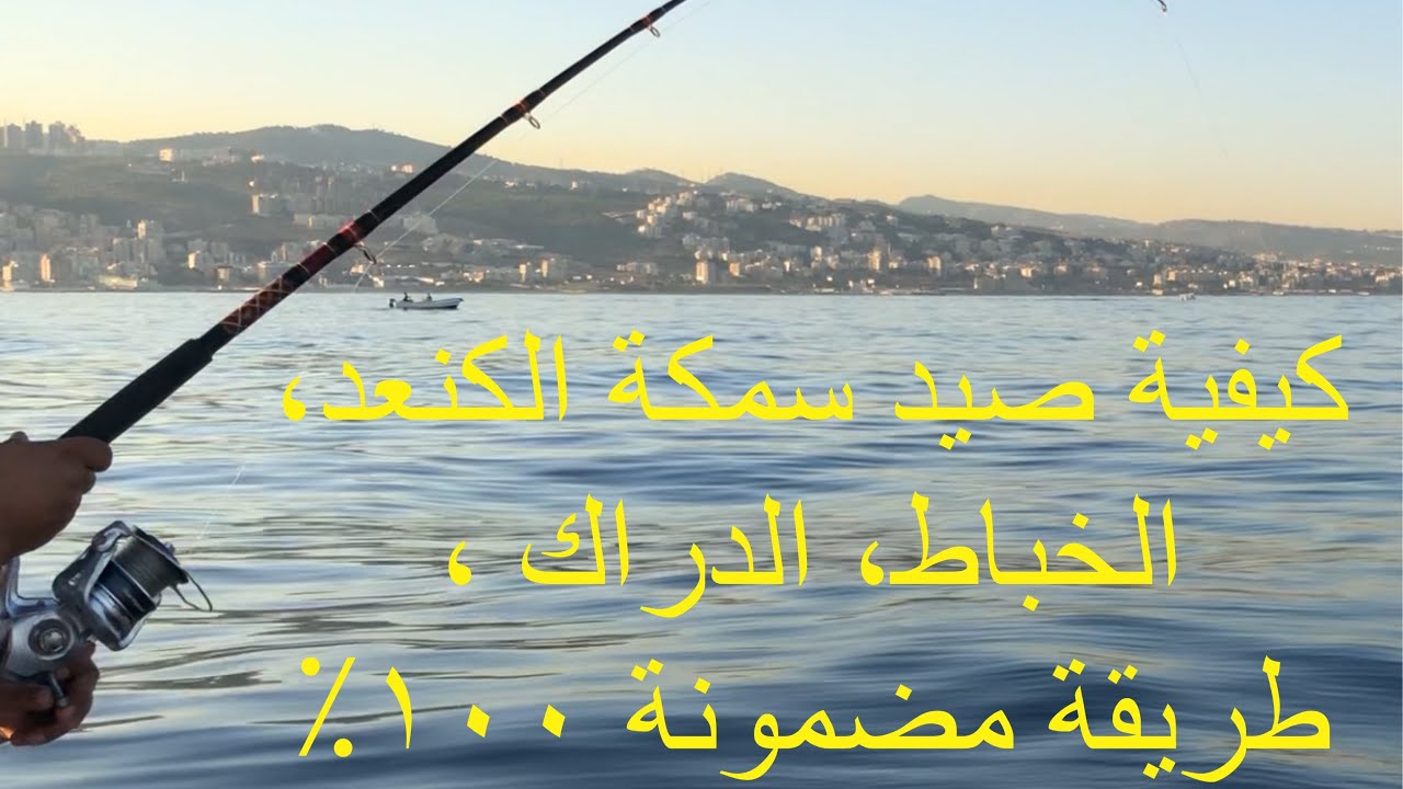 صيد الكنعد، الخباط، الابوسن، الدارك بالطعم الحي، خدعة رهيبة تمنيت لو عرفتها من قبل!