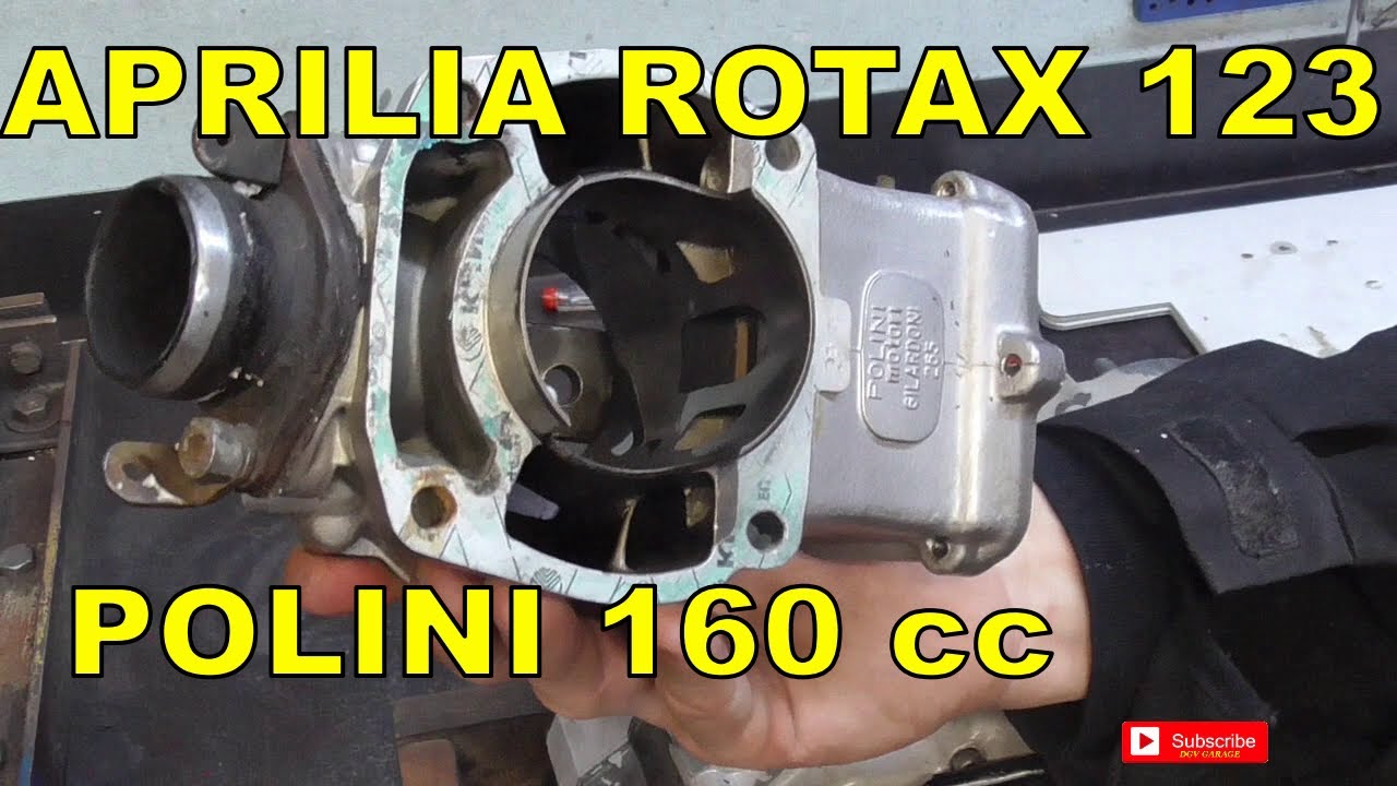 BLOCCO APRILIA ROTAX 123 160 POLINI