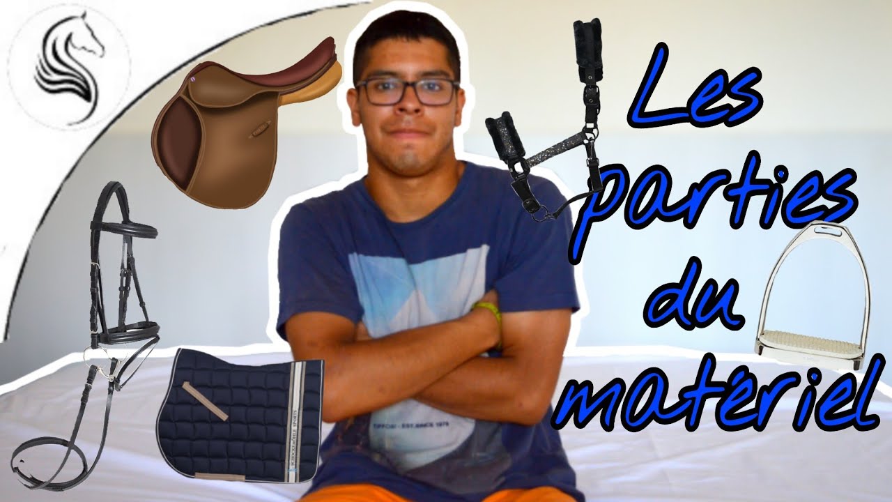 [ LEÇON SUR LE CHEVAL ] Les parties du licol, filet, selle, étrier, tapis de selle ! 🐴🏇🏻🦄 #4