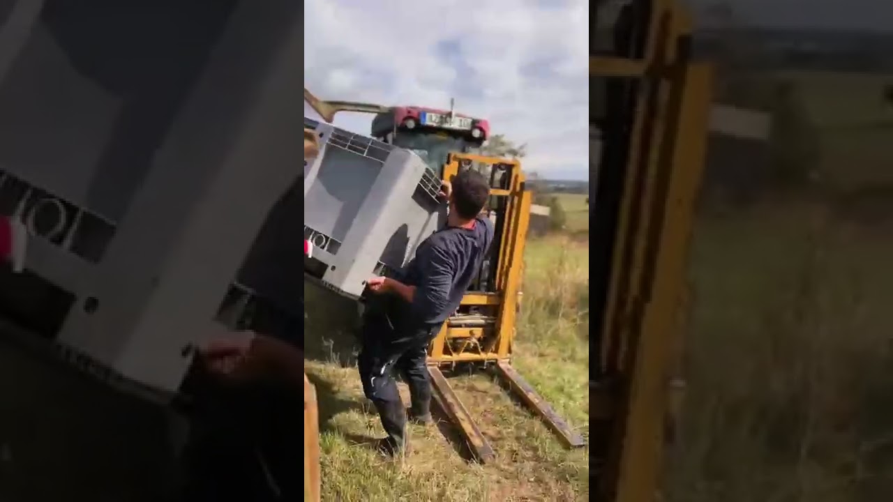 Handlese 2022 Grauburgunder