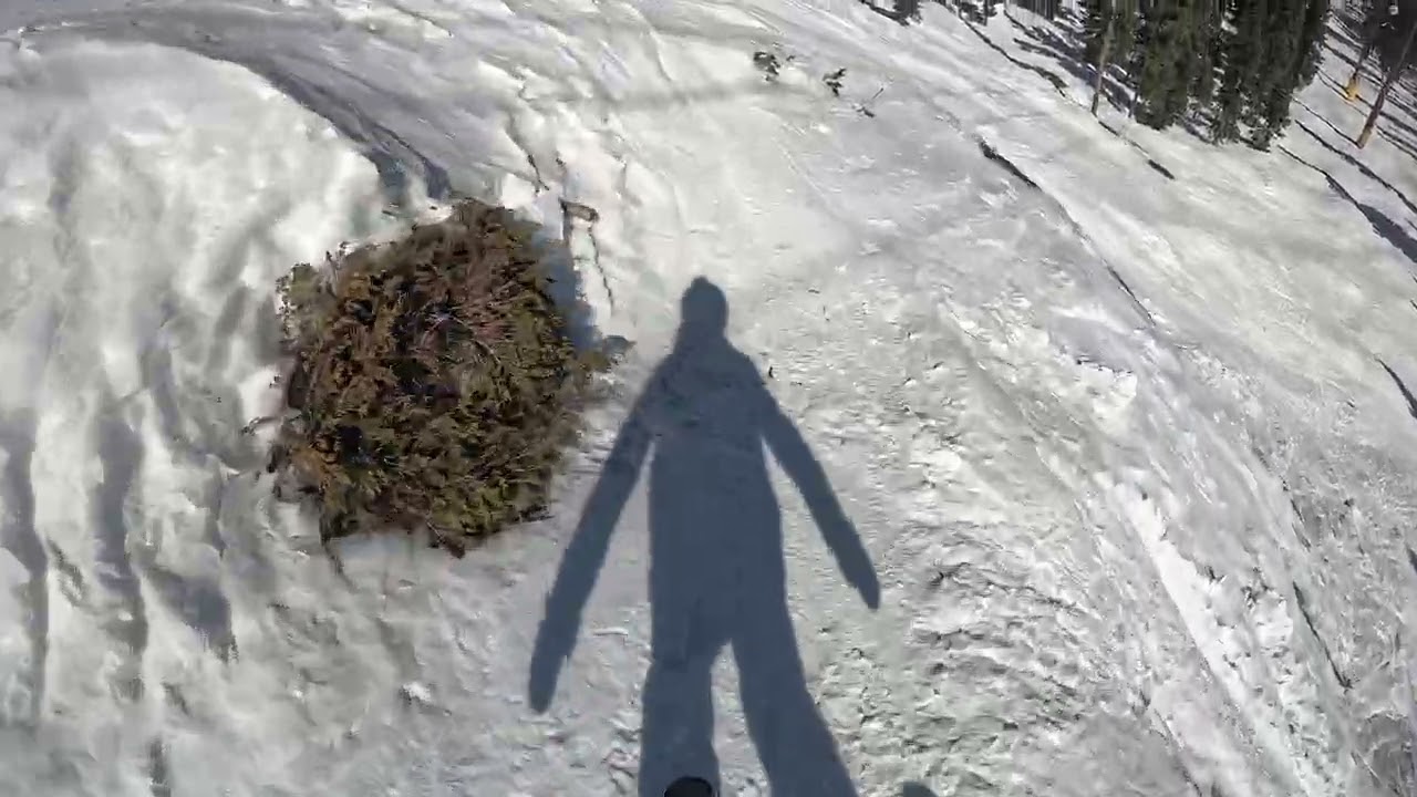 Skiing at monarch Mountain ￼